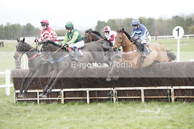 PtP 260323 0468 - New Forest Hounds Point-to-Point Larkhill 26/03/23