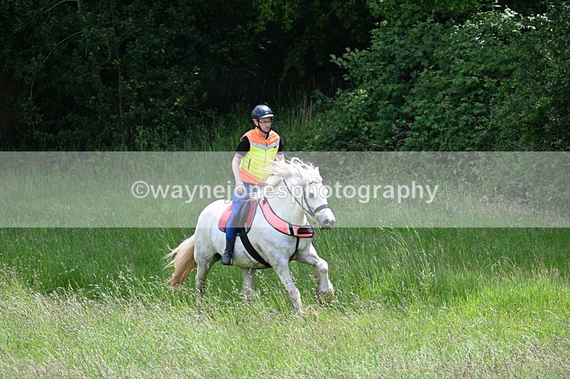 WJ7_8759 - Group 4 11am