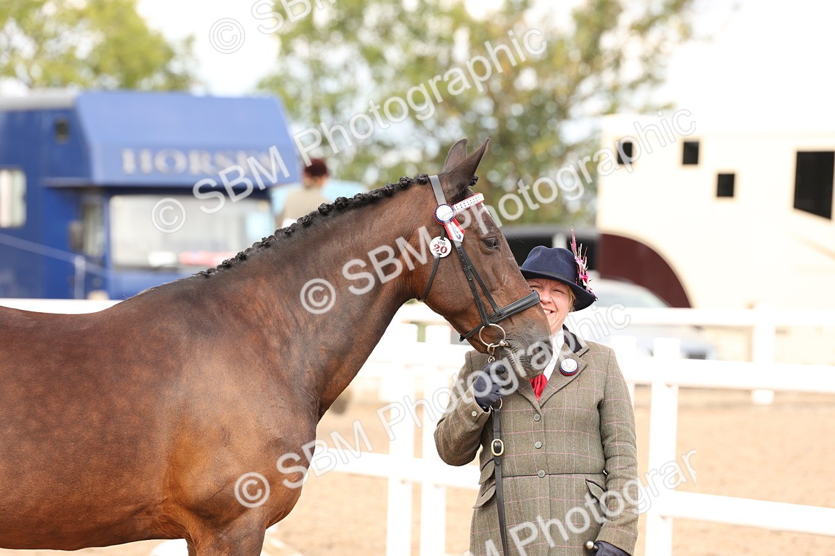 SBM_14641 - Class 208 - IH Veteran Horse