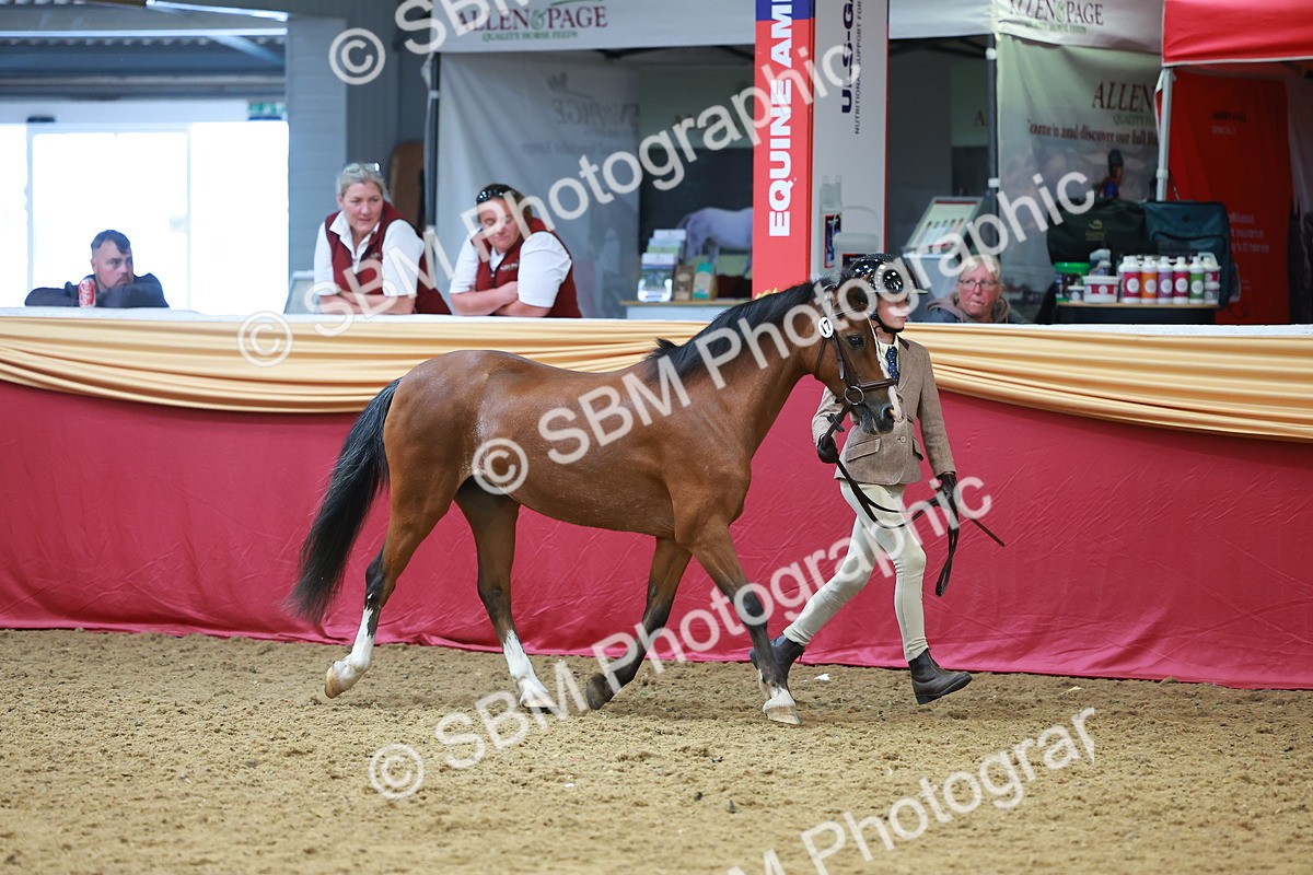 SBM_04205 - Class 9R - IH Pre-Vet
