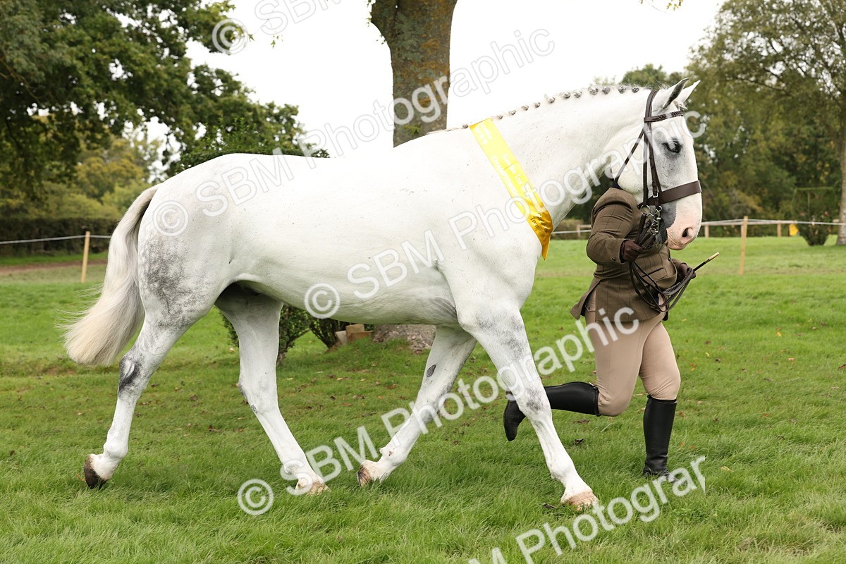 SBM_60841 - In Hand Horse Supreme Championship