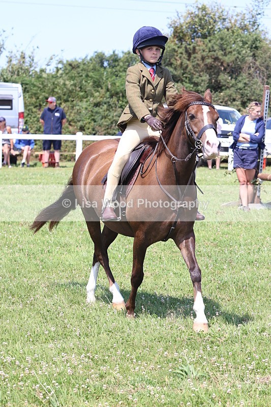 JPP_2343 - Class 20: Tiny Tots Working Hunter Pony