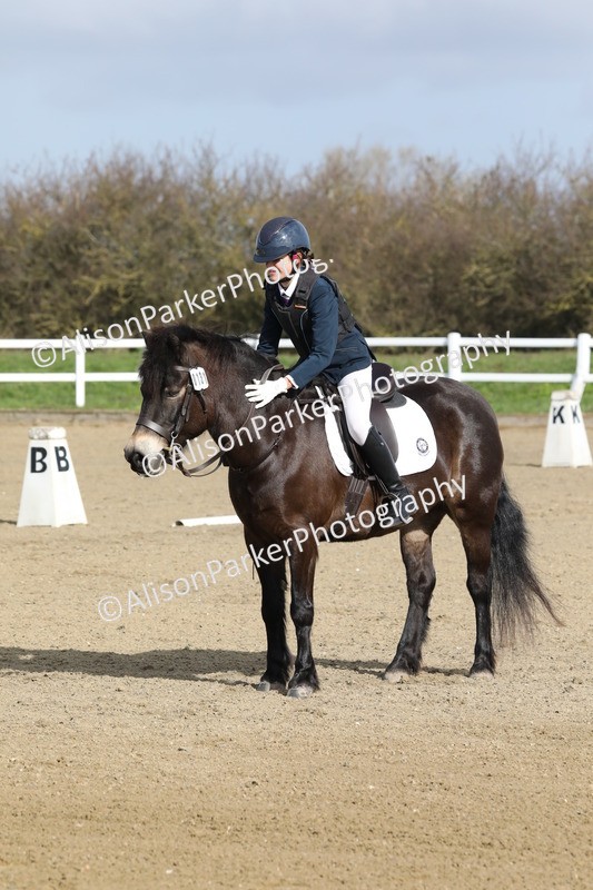 20260314-0236 - DR1 - Intro 1