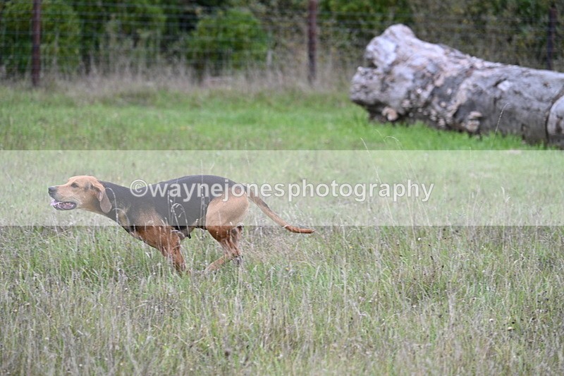 WJ7_3515 - Camera 1 Line 1