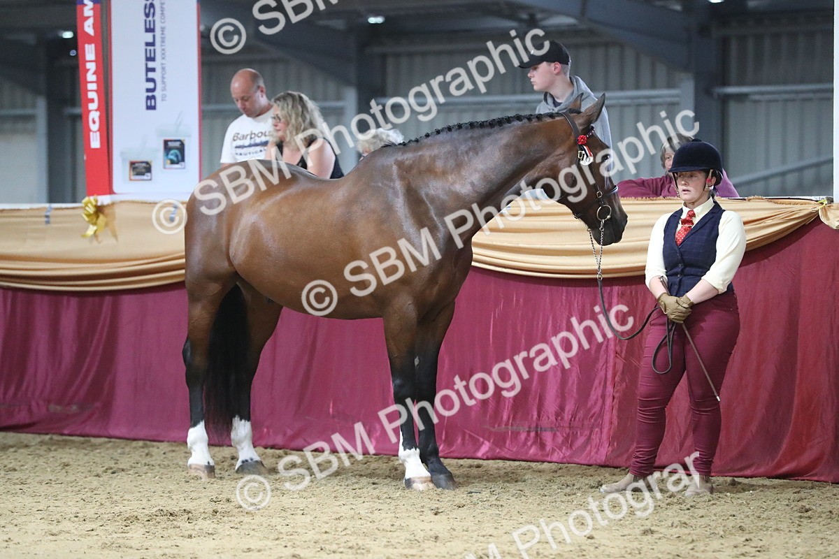 SBM_06321 - Class 9R Regional- IH Pre Vet