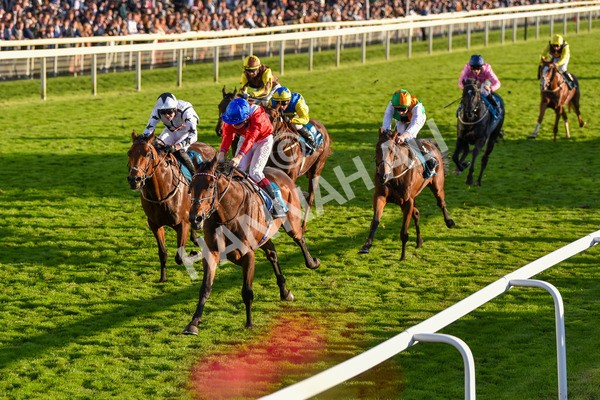 141023-Race 7-Star Ahoy-1659 - Race 7 4.45pm Coral 'Committed To Safer Gambling' Finale Handicap
