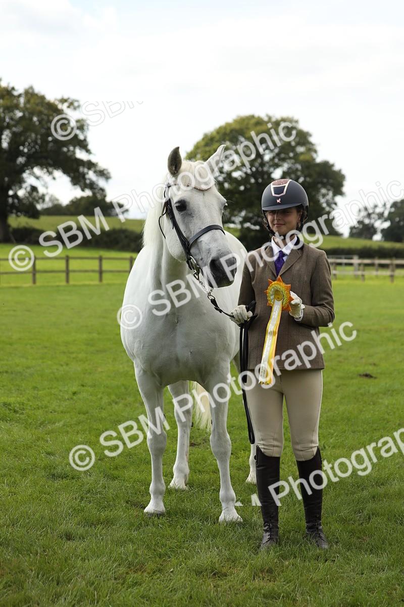 SBM_65552 - S47 - Mountain & Moorland In Hand Large Breeds