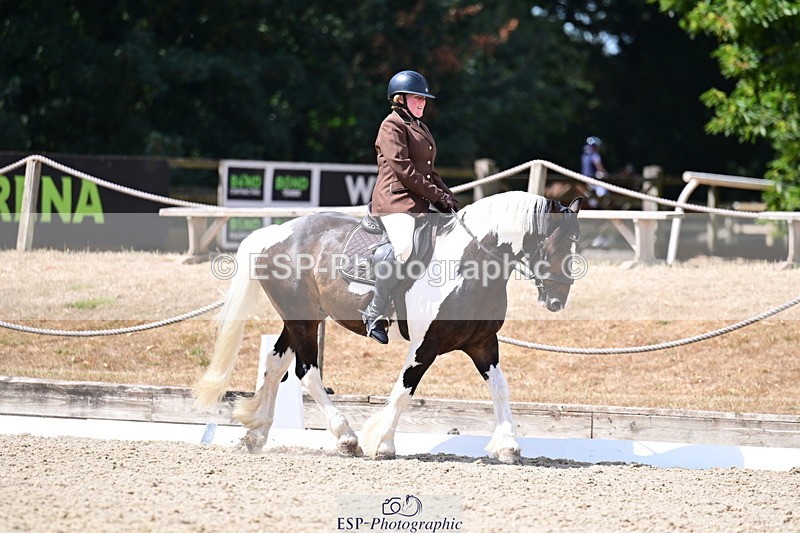 260802A-115154-06463 - Novice Bronze break - end