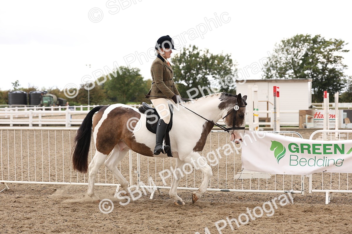 SBM_04181 - Class 54 - Riding Club Horse/Pony