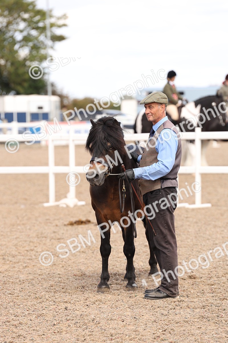 SBM_15085 - Class 209 - IH Veteran Pony