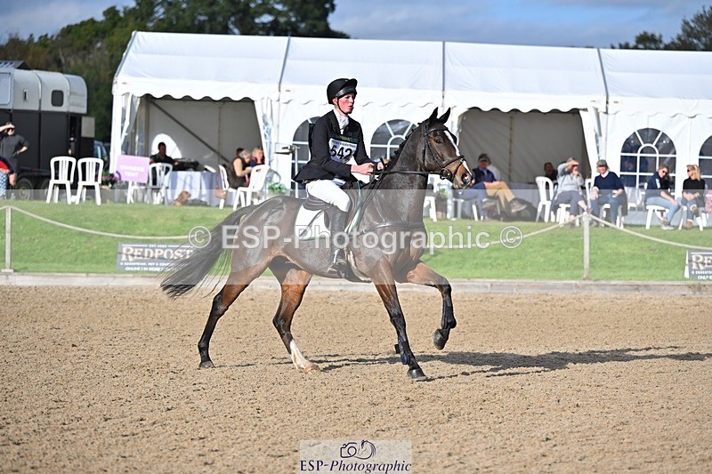 241027-140132-17689 - 542-Tommy.Marsden-HARD.KNOCK.LIFE