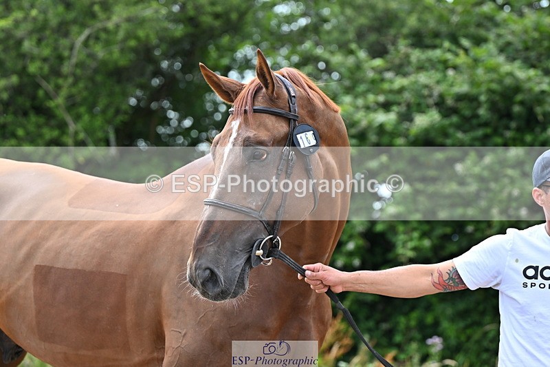 240718A-105321-01888 - Trot Up 1pm to 2pm