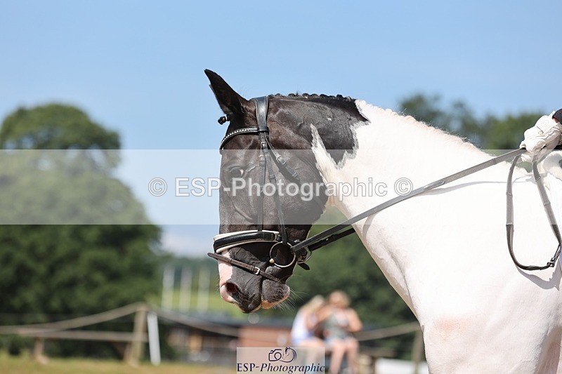 240719-121011-01603 - 123-Michelle_Wallis-Alvescot_Winning_Mood