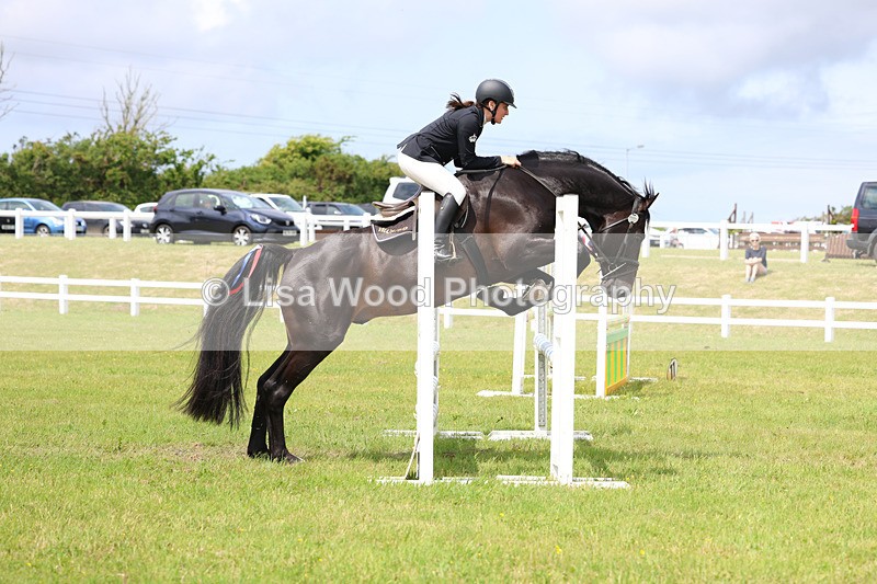 3E7A7451 - Class 13: Senior British Novice/90cm open