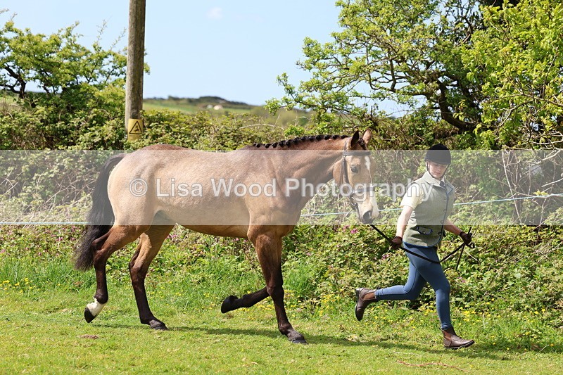 3E7A0459 - Class 20: Sports Horse