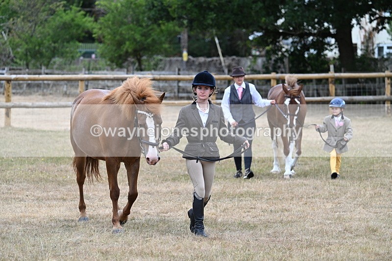 WJ7_8044 - Class 4 Prettiest Mare up to 14.2hh