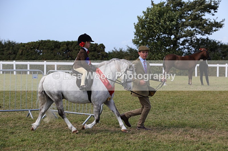 1X9A5509 - M&M Mini Ridden Championship