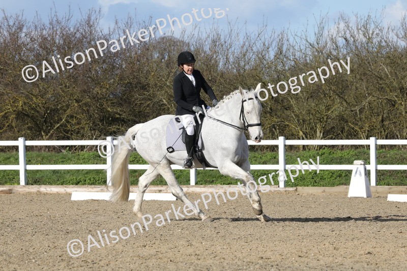 20260314-5121 - CT6 - Elementary 1