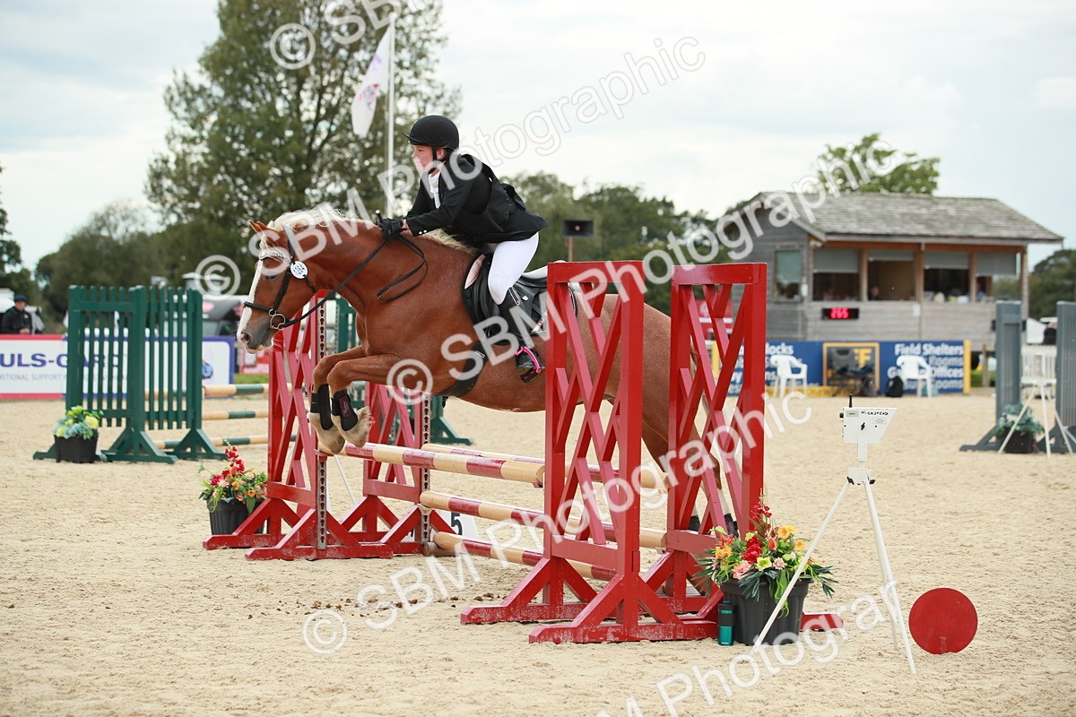 SBM_10124 - J31 Senior 75cm Championship