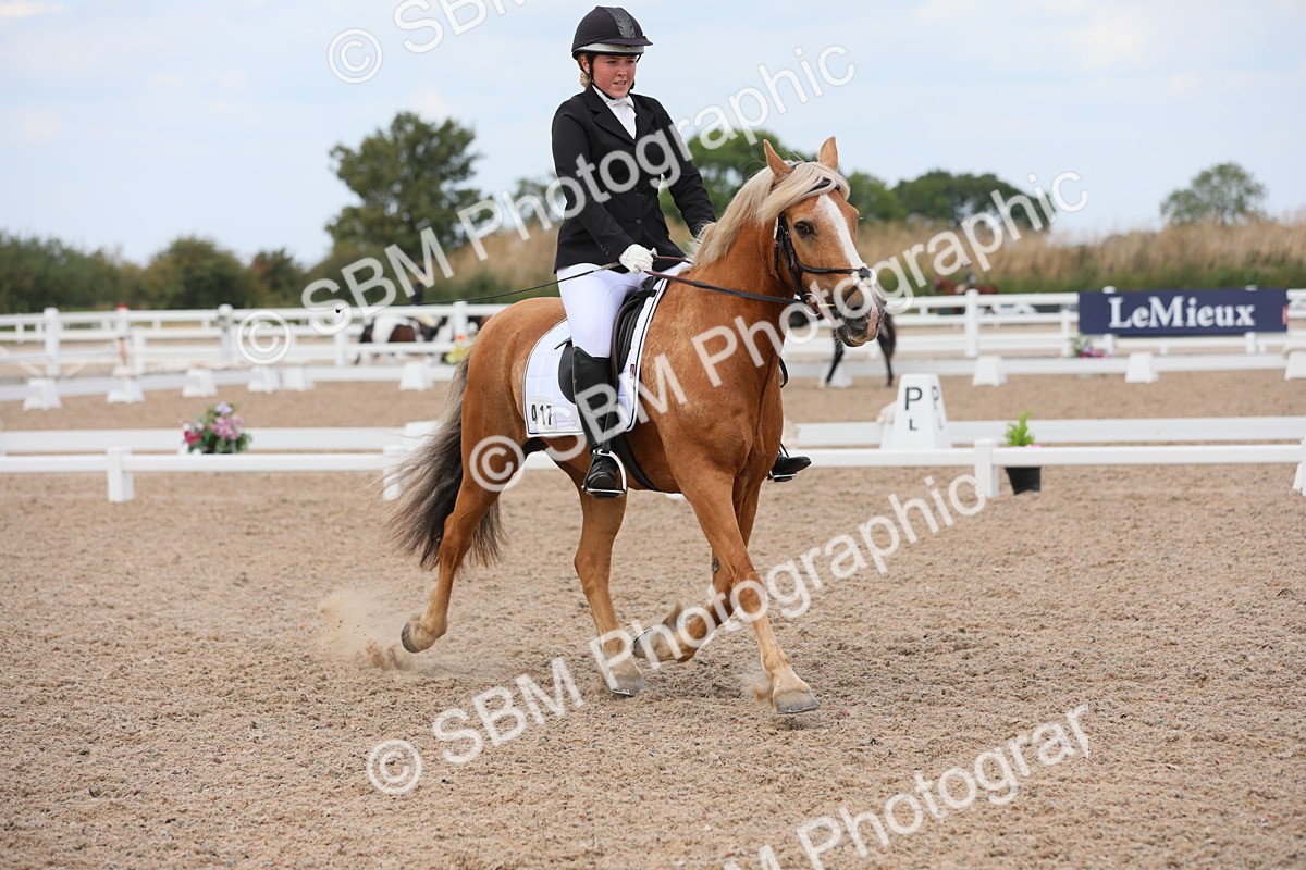 SBM_05753 - Class 32 Novice 1