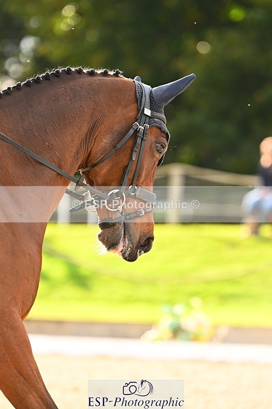 231021-154656-21207 - 365-ITAREUSO-Louisa.Lockwood-DR