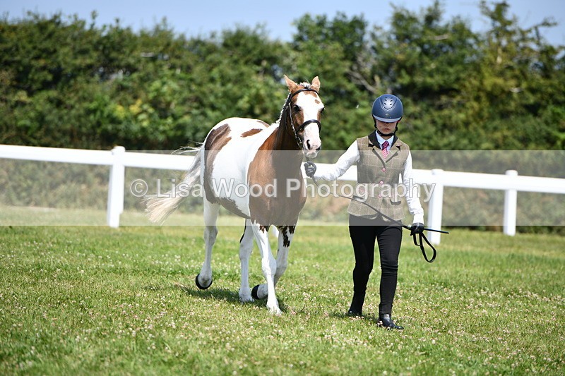 DSC_7772 - Class 64: Coloured Pony 4yrs & over
