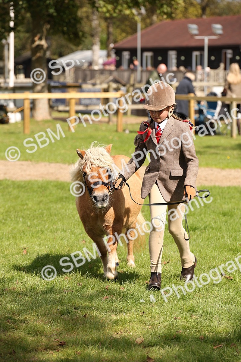 SBM_44415 - S24 - Young Veteran in hand