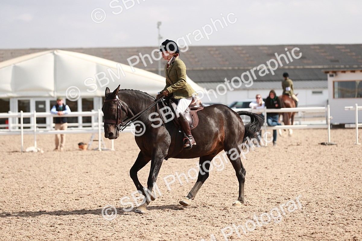 SBM_14904 - Class 212 Ridden Hunter - Small
