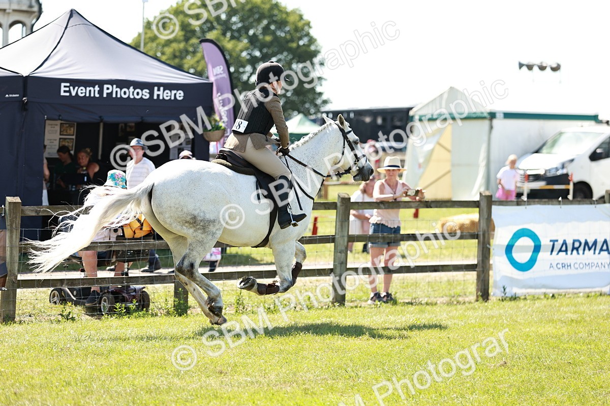 SBM_18306 - Class 112-113 - BSPS LIHS Working Sports Pony