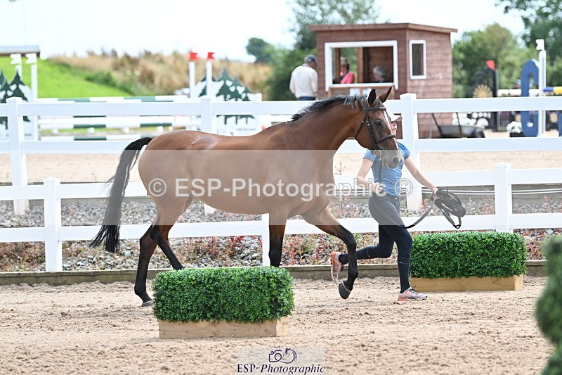 240717A-142839-02083 - Trot Up 2pm to 3pm - This folder is not in time order