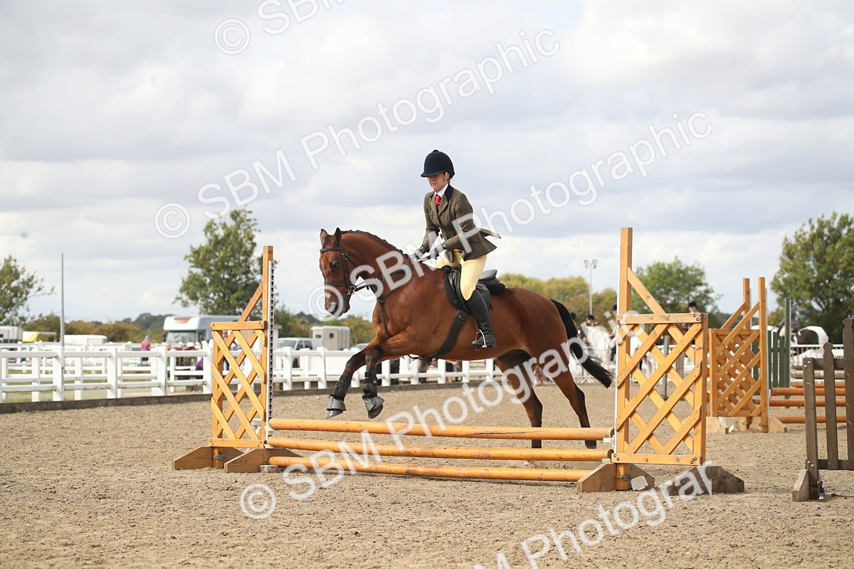 SBM_15209 - Class 506a - Working Veteran - 50cm (15-19)