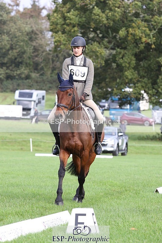 231019-110251-02529 - 609-WHAT.A.WONDER-Harry.Robinson-DR