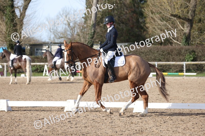 20260214-0617 - Class 5 - Novice 3