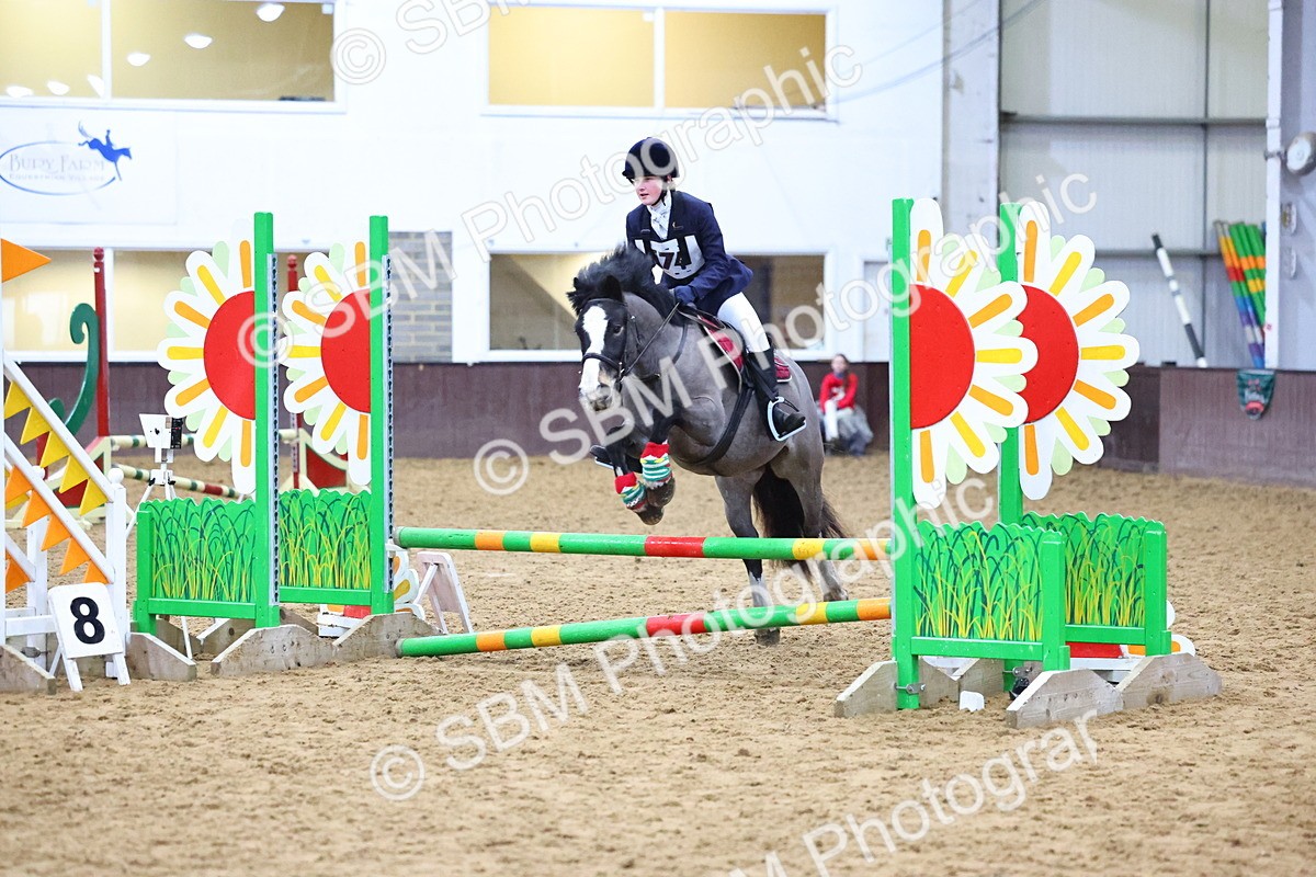 SBM_001261 - Class 3 - Christmas Tree Stakes - 60cm