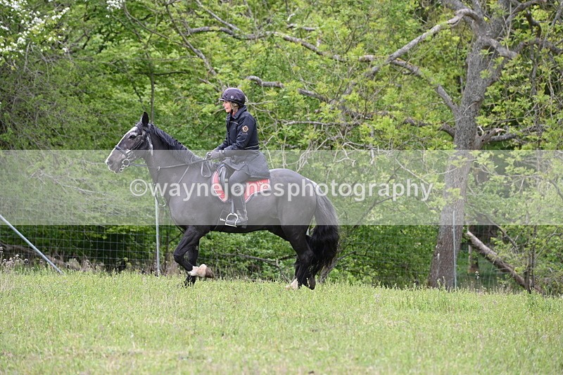 WJ6_1812 - Group 7 A&B Cameras