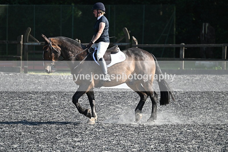 WJ7_8565 - Time 17:15 to 17:39