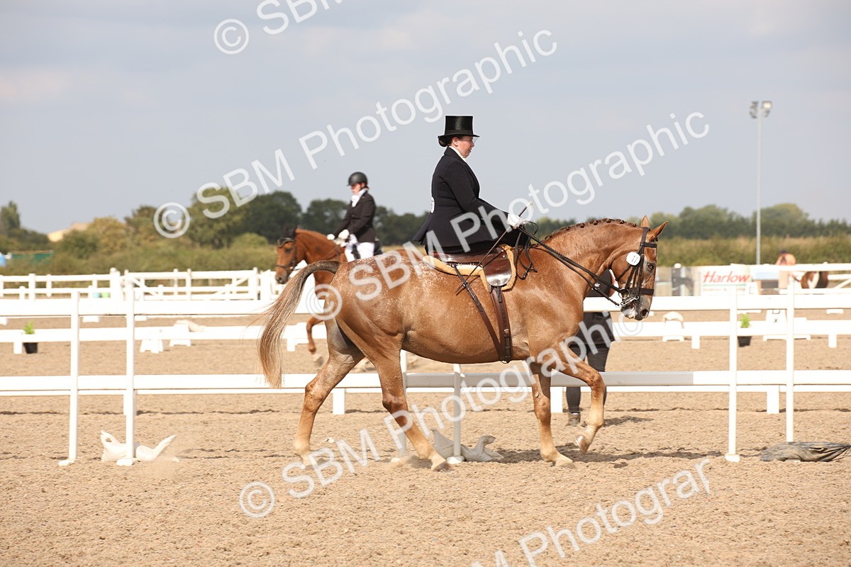 SBM_06712 - Class 24 Concours d'elegance