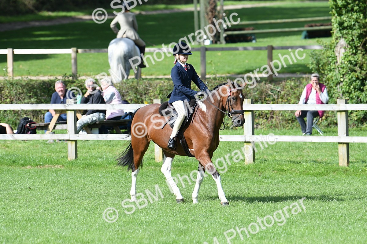 SBM_47140 - S12 - Family Horse & Pony