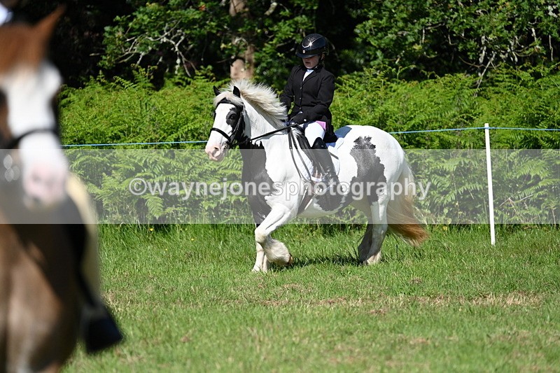 WJ7_0519 - Class 8 First Rally Pony