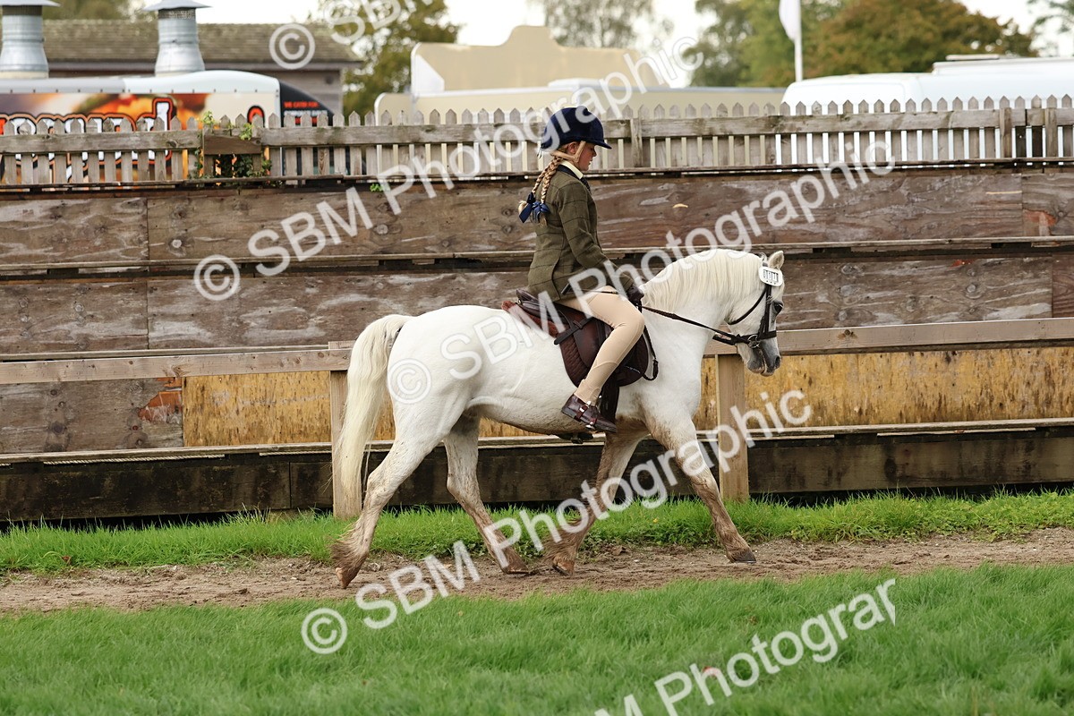 SBM_44960 - S27 - Young Veteran Ridden
