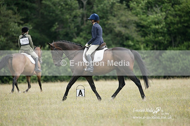 BVRC 030721 178 - Bourne Valley Riding Club Dressage 03/07/21