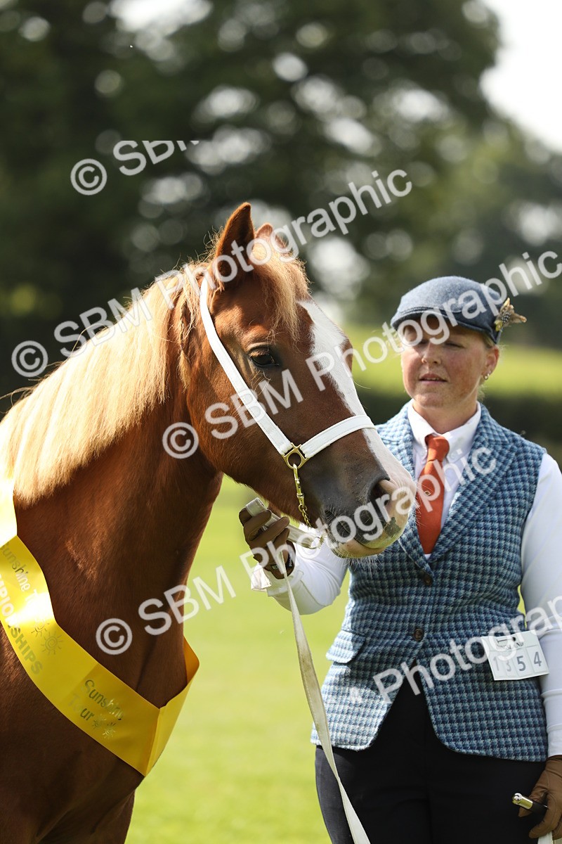 SBM_66316 - In Hand Pony & Youngstock Supreme Championship