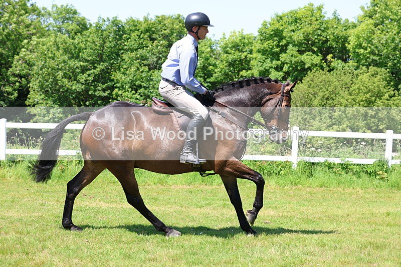 3E7A7186 - Class 30: Novice Working Hunter