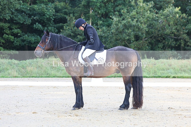 3E7A1882 - Class 1: Intro 4 2024 section A