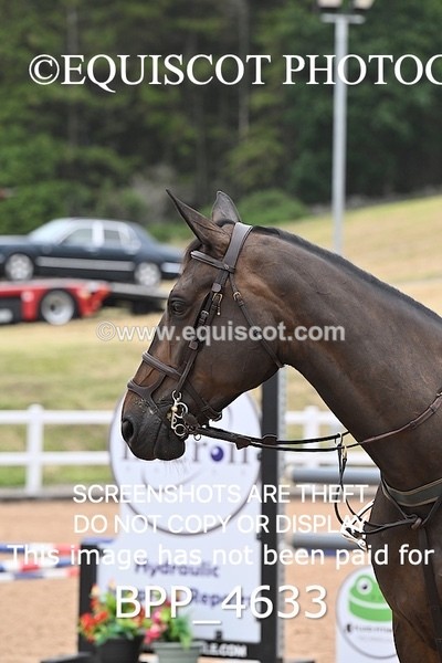 BPP_4633 - CLASS 5 WED Redpost Equestrian Senior Foxhunter/1.20m Open