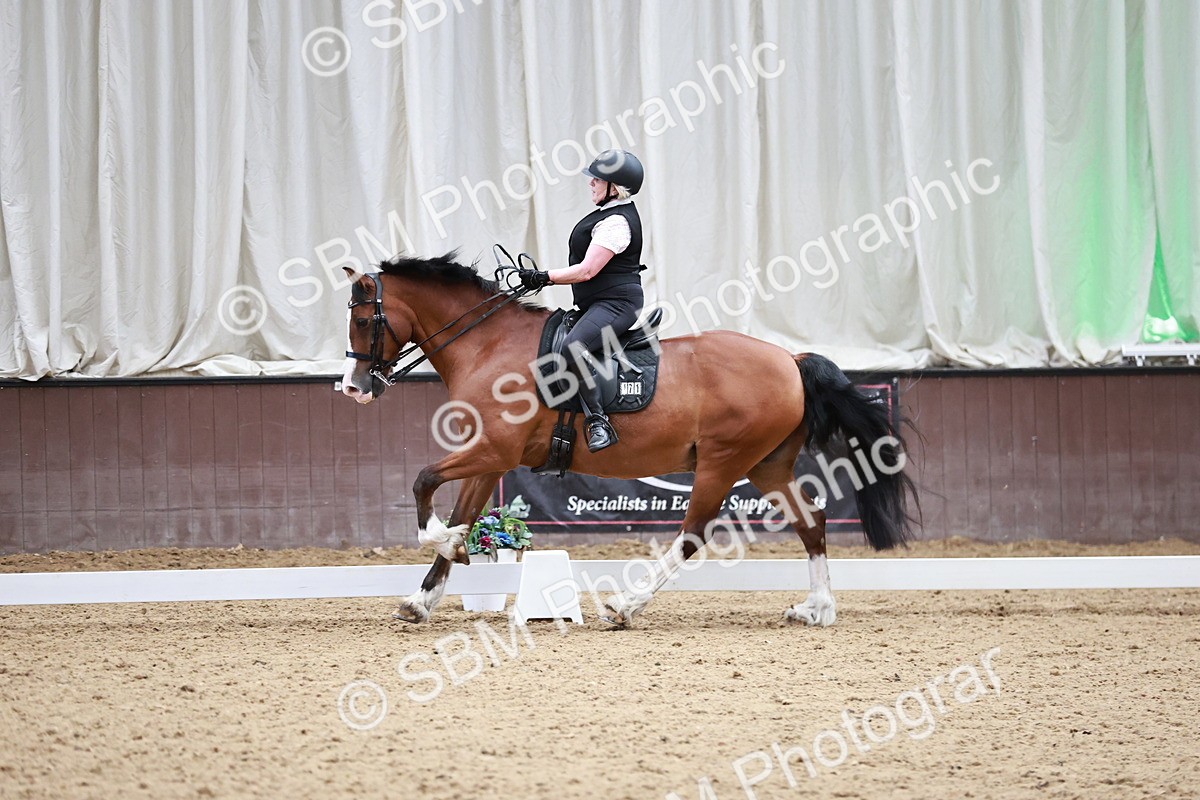 SBM_014361 - Class 7 - Ele FSM Bronze  13.24.14.04
