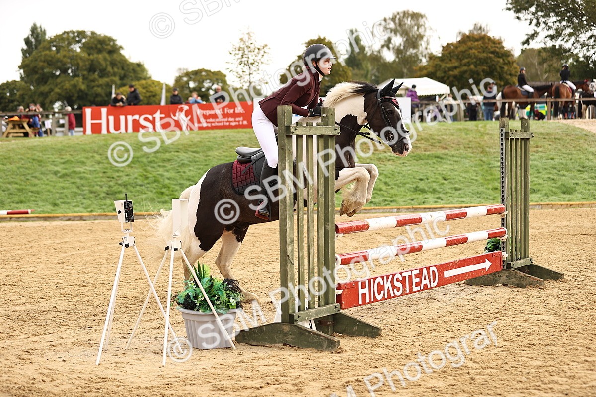 SBM_58208 - J41 - Grand Tour Horse & Pony 95cm