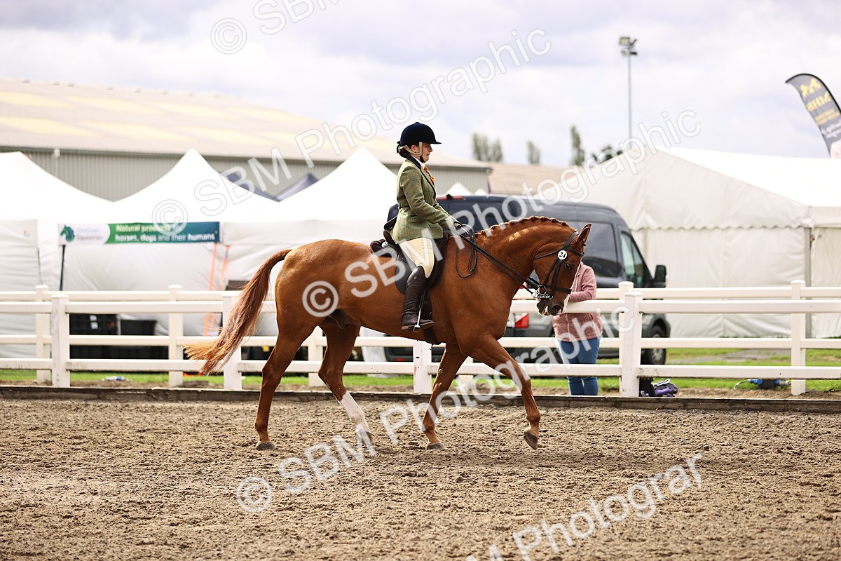 SBM_00553 - Class 53 - Ridden Competition Horse Pony
