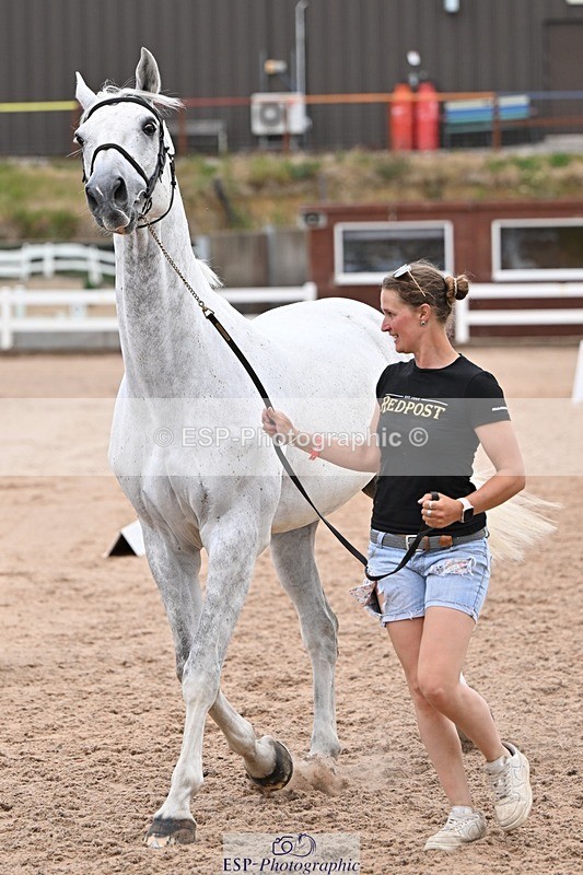 250716-141201-00969 - Trot Up 1.30 to 2.30