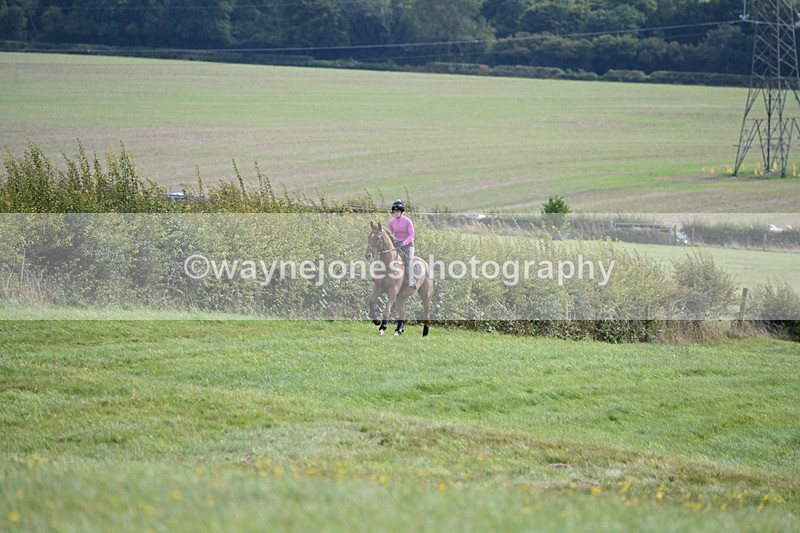 WJ6_9011 - Time 13:21 to 13:29